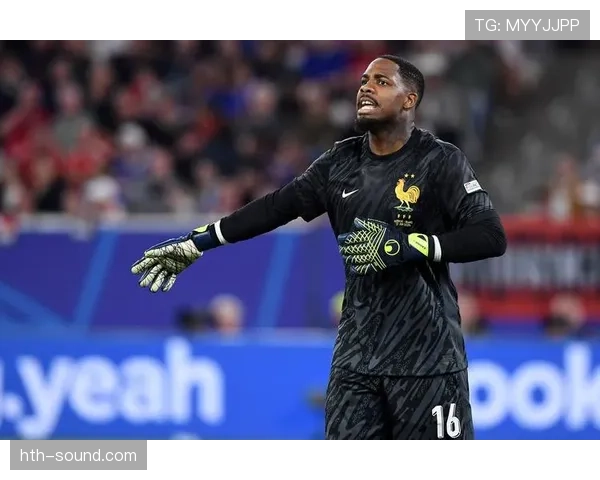 法国高卢雄鸡强势领跑欧洲区预选赛，世界杯出线前景明朗